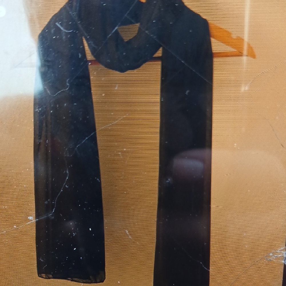 Elegant Black Sheer Scarf